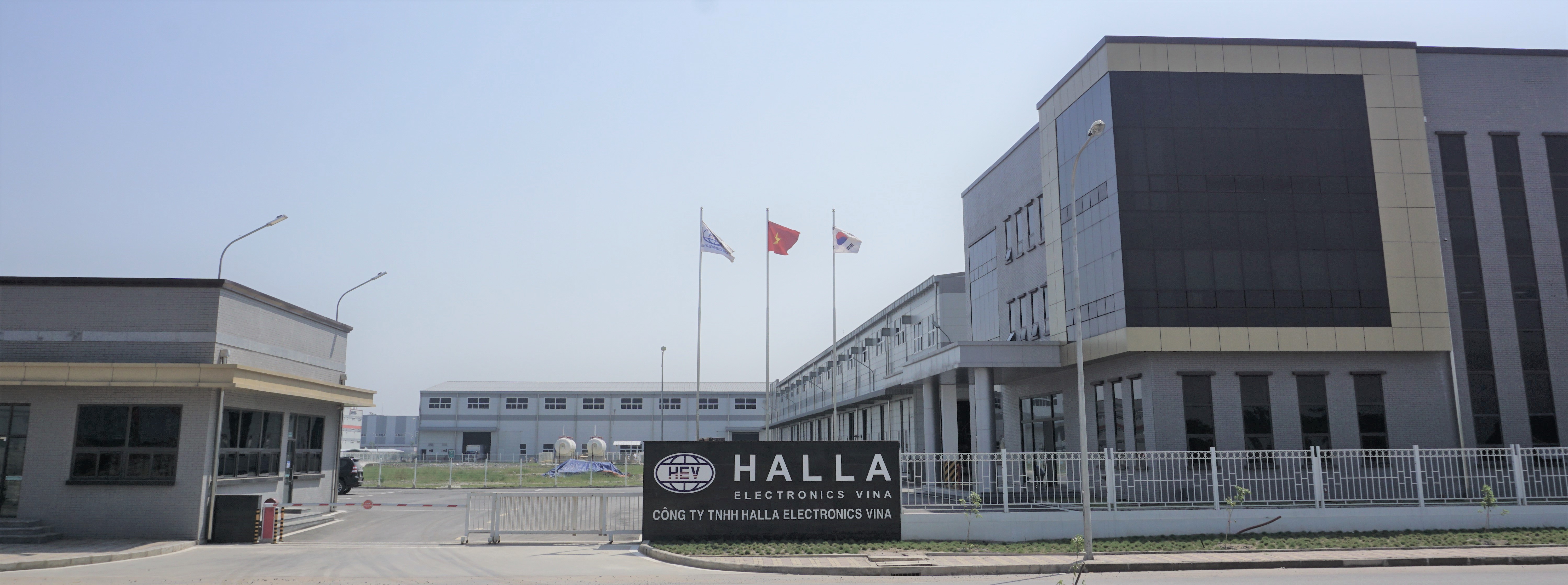 Halla vina